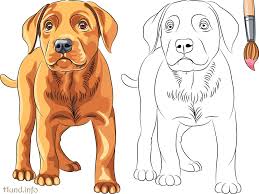 Ausmalbilder Mit Hunden Hunde Hund Malen Ausmalbilder Hunde Malvorlage Hund