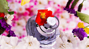 They can catch attention, intoxicate the mind, and even transform and individual. Diy Perfume Ideas Create Your Own Unique Signature Scent