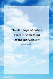 53 Best Nature Quotes Inspirational Sayings About Nature You'll end up having more. nature quotes inspirational sayings
