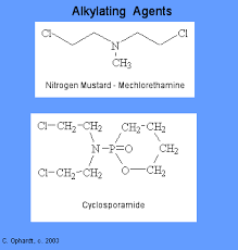 Image result for Alkylating Agent