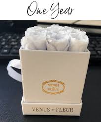 Over the next 20 years. Venus Et Fleur Two Year Review Shenandoah Sugar