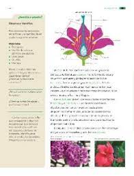Busca tu tarea de ciencias naturales cuarto grado: Paco El Chato 4 Grado Ciencias Naturales Ciencias Naturales Sep Cuarto De Primaria Libro De Texto Contestado Con Explicaciones Soluciones Y Respuestas Leccion 49 Tiras De Colores Parte 2 Desafios 4 Youtube Lena Lenka Lena1