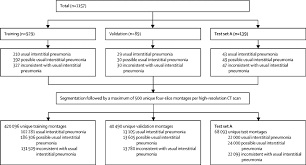 We did not find results for: Deep Learning For Classifying Fibrotic Lung Disease On High Resolution Computed Tomography A Case Cohort Study The Lancet Respiratory Medicine