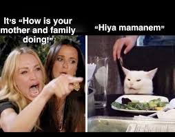 This Woman Yelling At A Cat Meme Is Still My Favorite Thing On The Internet Memes Southern Humor Humor