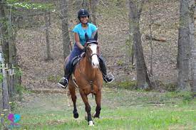How To Ride A Horse For Beginners Basics Safety Mistakes
