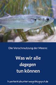 Was Tun Gegen Den Mull Im Meer Interview Mit Hannah Sliwka Leiterin Des Ostsee Info Centers Eckernforde Auf Kustenki Mull Im Meer Kinder Meeresverschmutzung