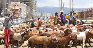 We did not find results for: Ethiopian Easter General