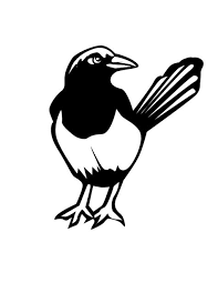 Bird coloring page bird coloring pages for preschoolers at getcolorings free. Magpie Robin Coloring Pages Kidsuki