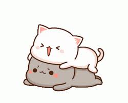 Peachcat Cute Gif Peachcat Cat Cute Discover Share Gifs Chibi Cat Cute Gif Cute Cat Gif