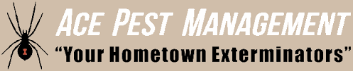 Ace pest management is a local independent pest control business based in newton abbot, devon that provides top we are fully trained, experienced and qualified in pest management enabling us to manage and control a wide range of pest issues related to business premises and private homes. Ace Pest Management Pest Control North Port Fl Pest Control Southwest Fl We Are Your Hometown Exterminators Home