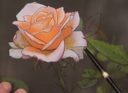 The steps of writing a picture in the photo. How To Draw A Rose In Pen And Ink Online Art Lessons