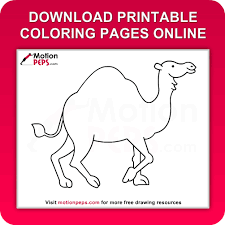 Very quick purchase and easy to download to print.thank you. Download Free Printable Camel Coloring Pages For Kids Online Coloringpeps