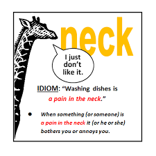 Pin On Idioms