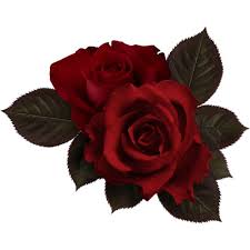 Wpd Nevere Love El 53 Png Liked On Polyvore Featuring Flowers Fillers Backgrounds Red Roses Effects Scenery Borders And Flowers Rose Floral Stickers