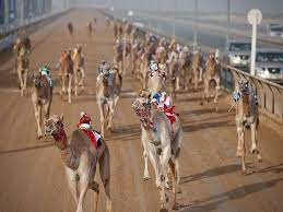 San martin obispo cuautitlan izcalli, mexico cigarettes brand camel filters fb. Pin On Events Nightlife