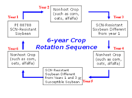 Management Of Scn Soybean Cyst Nematode Www Soybeancyst Info