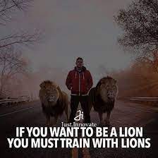 You Must Train With Lions Then You Become A Lion Steemit
