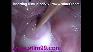 Sperma In Vagina Spritzen - Xxx Porno Videos | JazzPorno.com