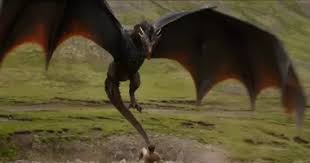 Goblet of fire opens with a bunch of murders, which shows us right off the bat that j.k. What Were The Differences Between Harry Potter S Dragons And The Dragons In Game Of Thrones Quora