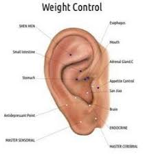 Pin On Weight Control