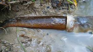 Monster fish are eating small fish cat fish eating eel fish fish eating a  snake