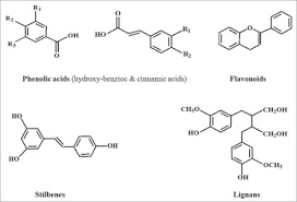 Chemical Structures Of The Different Classes Of Polyphenols