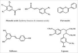 chemical structures of the different classes of polyphenols