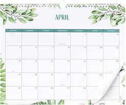 Amazon Com Beautiful 2020 Greenery Wall Calendar The Perfect Monthly Calendar For Your Wall Unique 14 5 X 11 5 G In 2020 Wall Calendar Desk Calendars Wall Desk