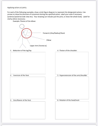 Download this body builder bodybuilder muscle man stick figure pictogram vector illustration now. Solved Name Naming Muscles Muscles Are Named Very Specif Chegg Com