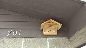 Select another species download construction plan. Ask Us The Half Built Birdhouse Is Aimed At Swallows Local News Mankatofreepress Com