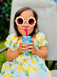 Reusable Metal Straws for Kids