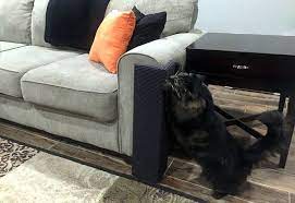 Maybe you would like to learn more about one of these? Amazon Com 39 Sofa Scratcher Squared 39 Cat Scratching Post Amp Couch Corner X2f Furniture P Cat Scratching Post Furniture Protectors Cat Scratching