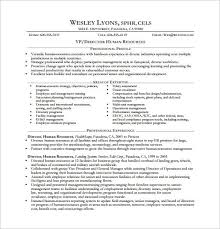 executive resume template 14+ free