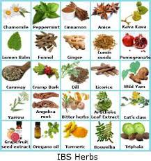Pin On God S Medicine Is Always Best