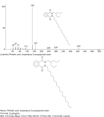 Image result for Melastomastrum capitatum