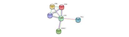 It prevents users from accidentally overwriting changes and possible data corruption. Lck Gene Genecards Lck Protein Lck Antibody