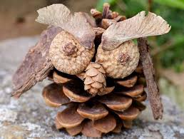 1001 Ideen Und Bilder Zum Thema Basteln Mit Tannenzapfen Herbstbastelprojekte Mit Tannenzapfen Basteln Herbst Basteleien