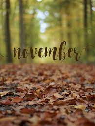 November Phone Wallpaper Autumn Fall Iphone Wallpaper Fall November Wallpaper Iphone Background