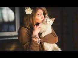 Stylish Dpz For Girls Cute Cat With Girls Images For Whatsapp Dp Youtube This pretty kitty needs your help to look absolutely purrrrfect. girls images for whatsapp dp