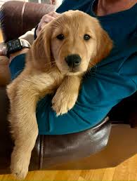 Has this happened to anyone after shots?