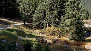 Jul 18, 2020 · guanella pass. American Land Leisure Guanella Pass Campground Near Georgetown Colorado
