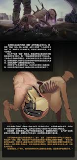 战争即和平 H漫 - 私密的时刻