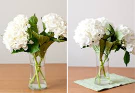 Fresh flowers are the perfect trick to brighten up our homes, providing a beautiful, living focal point as well as being a popular if, like us, you've despaired watching your beautiful blooms wilt and droop before their time, you'll want to find out how to keep flowers fresh in a vase for as long as possible. Secrets For Keeping Cut Flowers Fresh Living Well Design Mom