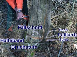 Sie verfügt in der regel über eine beidseitig angeschliffene, mehr oder weniger schlanke klinge mit relativ spitzem schneidenwinkel, um ein leichtes eindringen in das holz zu ermöglichen. Falltechnik Wikipedia