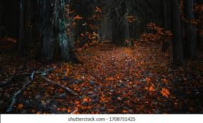Hd Quality Wallpapers High Res Stock Images | Shutterstock