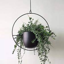 Iron Planter Metal Plant Hangers Hanging Planters Indoor Metal Hanging Planters