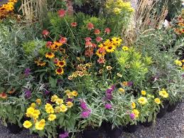Long before summer plants fully waken, spring plants have responded to the gradual change of seasons. The Longest Flowering Perennials Creek Side Gardens