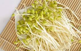 绿豆芽为豆科植物绿豆的种子浸罨后发出的嫩芽食用芽菜是近年来的新时尚芽菜中以绿豆芽最为便宜其营养丰富是自然食用主义者所推崇的食品之一宏泰堂中医 食疗养生 小知识绿豆芽