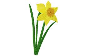 Daffodil Graphics Daffodils Free Clip Art Clipart Best Free Clip Art Clip Art Daffodils
