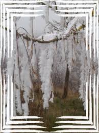 Je sais ce poème par cœur. Poemes Sur L Hiver Par Differents Auteurs